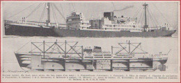 Navire Cargo. Cargo Mixte En Coupe. Illustration L Haffner, Peintre Officiel De La Marine. Larousse 1948. - Historische Dokumente