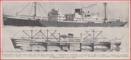 Navire Cargo. Cargo Mixte En Coupe. Illustration L Haffner, Peintre Officiel De La Marine. Larousse 1948. - Historische Documenten