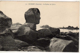 29 / ROSCOFF - Le Rocher Du Sphinx - Roscoff