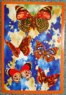 141 Carte Postale Papillon Papillons - Butterflies