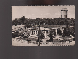 42 - Roanne : Le Nouveau Pont - Le Petit Square Des Promenades Et La Pisciculture - Roanne