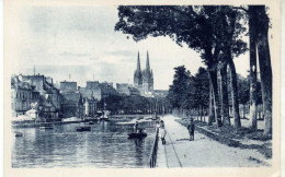 29 / QUIMPER - Les Allées De Locmaria Et La Cathédrale - Quimper