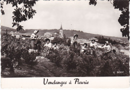 69 FLEURIE - BEAUJOLAIS - Vendanges à Fleurie - Andere & Zonder Classificatie