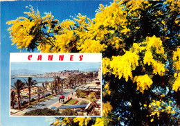 06-CANNES-N°1002-D/0089 - Cannes