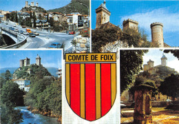 09-FOIX-N°1004-D/0243 - Foix