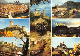 09-FOIX-N°1004-D/0219 - Foix