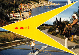 17-ILE DE RE-N°1008-B/0079 - Ile De Ré