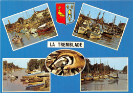 17-LA TREMBLADE-N°1008-D/0341 - La Tremblade
