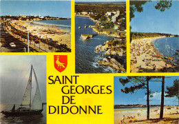 17-SAINT GEORGES DE DIDONNE-N°1008-C/0125 - Saint-Georges-de-Didonne