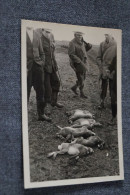 Ancienne Photo,Chasseurs,Chasse Aux Lièvres, 10 Cm. / 7,5 Cm. - Sports