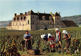 21-CLOS VOUGEOT-N°1010-A/0427 - Other & Unclassified