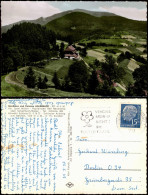 Ansichtskarte Schopfheim Gasthaus Und Pension HALDENHOF 1963  Gel 15 Pfg. Heuss - Schopfheim