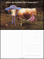 Tiere Kuh Kühe: Immer Das Herrichten Für D' Sommergäste 2000 - Mucche