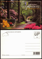 Ansichtskarte Graal-Müritz Rhododendron-Park 1990 - Graal-Müritz