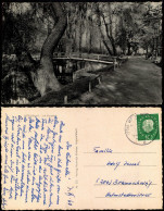 Ansichtskarte Werl (Westfalen) Kurpark, Brücke 1959 - Werl