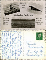 Ansichtskarte Norderney Seehunde, Seehundsbank - Mehrbild Fotokarte 1960 - Norderney
