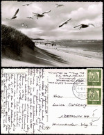 Ansichtskarte Spiekeroog Strand Möven Nordsee 1966 - Sonstige & Ohne Zuordnung