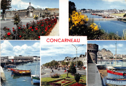 29-CONCARNEAU-N°1011-E/0411 - Concarneau