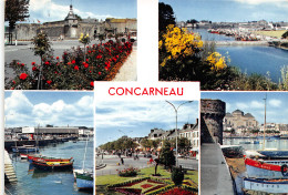 29-CONCARNEAU-N°1012-B/0237 - Concarneau