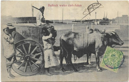 ASIE. YEMEN.  BULLOCK WATER CART ADEN.  CARTE ECRITE - Jemen