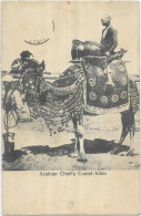 ASIE. YEMEN. ARABIAN CHIEF S CAMEL ADEN  CARTE ECRITE - Jemen