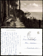 Surendorf-Schwedeneck Wanderweg Mit Ruhebank Und Blick Auf Die Ostsee 1958 - Autres & Non Classés