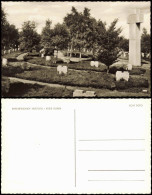 Ansichtskarte Hürtgen Ehrenfriedhof 1961 - Autres & Non Classés