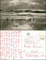 Ansichtskarte Sylt Insel Sylt Abend Am Strand (Stimmungsbild) 1965 - Other & Unclassified