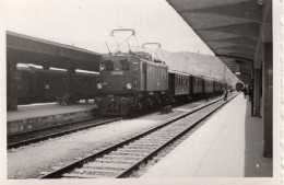 E-Lok Züge Im Bahnhof - Trains