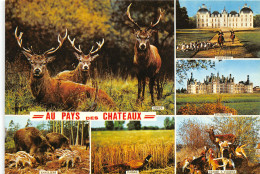 41-CHATEAUX-N°1015-C/0047 - Other & Unclassified