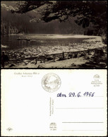 Ansichtskarte Bayerisch Eisenstein Arbersee Im Bayerischen Wald 1956 - Andere & Zonder Classificatie