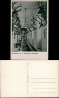 Bad Homburg Vor Der Höhe Kaiserliches Schloß - Geweihgallerie 1934 - Bad Homburg