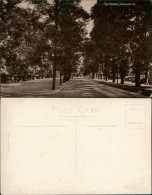 Postcard Southampton THE AVENUE, SOUTHAMPTON, Allee Straße 1920 - Altri & Non Classificati