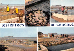 35-CANCALE-N°1015-D/0267 - Cancale