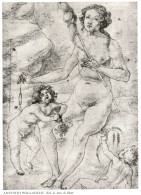 Antonio Pollaiolo, Nudo Artistico, Eva Nell'atto Di Filare, Stampa Epoca - Prints & Engravings