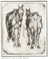 Pisanello, Studio Di Cavalli, Stampa Epoca, Vintage Print - Prints & Engravings