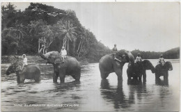 ASIE.CEYLON. TEMPLE ELEPHANTS AFTER THEIR BATH KANDY CEYLON  CARTE ECRITE ET TIMBRE - Sri Lanka (Ceilán)