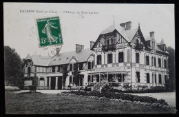 41 - SALBRIS (Loir Et Cher) - Chateau De Bois Lurette - Salbris