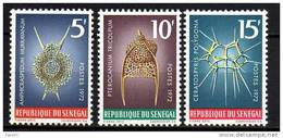 Sénégal N° 377 / 79 X  Poissons Et Radiolaires Les 3 Valeurs Trace De Charnière, Sinon TB - Sénégal (1960-...)