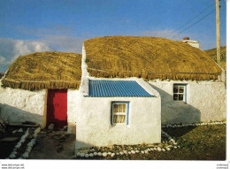 IRLANDE Ireland Irish Thatched Cottage Real Ireland N°SP40 VOIR DOS - Altri & Non Classificati