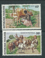 Togo  N° 822 / 23  XX Scènes De La Vie Pastorale, Les 2 Valeurs Sans Charnière, TB - Togo (1960-...)