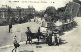 *Repro CPA - 75 - PARIS -  Jardin Du Luxembourg - Le Sénat - Parks, Gardens