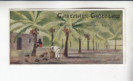 Gartmann  Samoa Kokosernte     Serie 299 #3 Von 1909 - Sonstige & Ohne Zuordnung