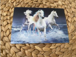 Pferd Horse Lenticular 3D Postkarte Postcard - Paarden