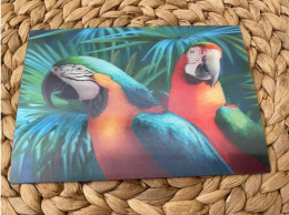 Ara  Lenticular 3D Postkarte Postcard - Vogels