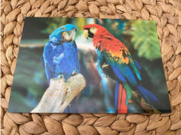 Ara  Lenticular 3D Postkarte Postcard - Vogels