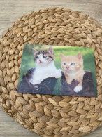 Katze Cat Chat  Lenticular 3D Postkarte Postcard - Katten