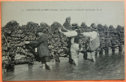 CARTE L' AIGUILLON SUR MER - 85 - LES BOUCHOTS ET LA CUEILLE DES MOULES -SCANS RECTO VERSO-12 - Altri & Non Classificati