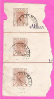 Roumanie Romania Entier Postal Stationery Bande Pour Journaux ? 3 X 1 Bani Brun Charles 1er (yvert 99) - Postwaardestukken