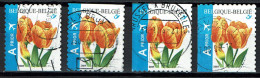 België OBP 3406 - Flowers Tulip Prior Logo Complete - Usados